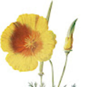 Meet your Posher, Sheila